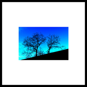 Arbre 040