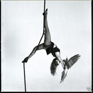 Danseuse sur Corde et son Perroquet