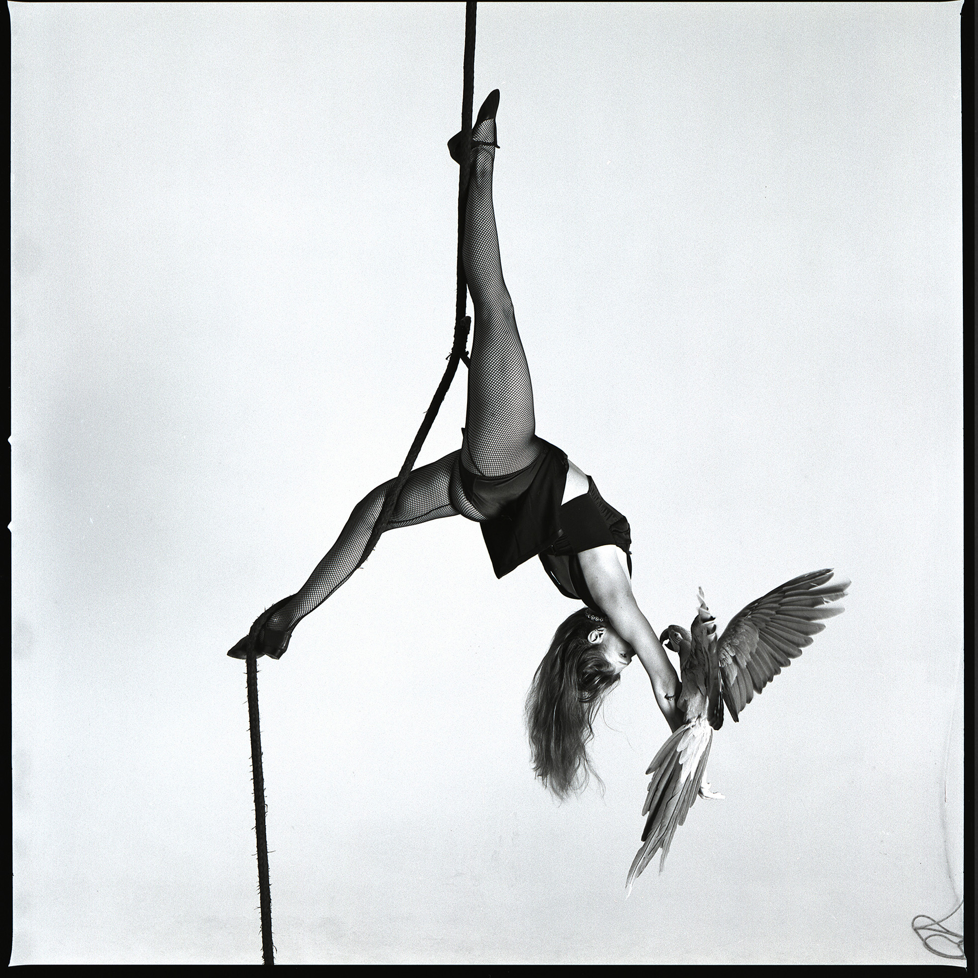 Danseuse sur Corde et son Perroquet